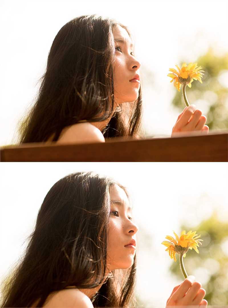 高清手拿菊花的纯情少女户外清纯唯美合集图册