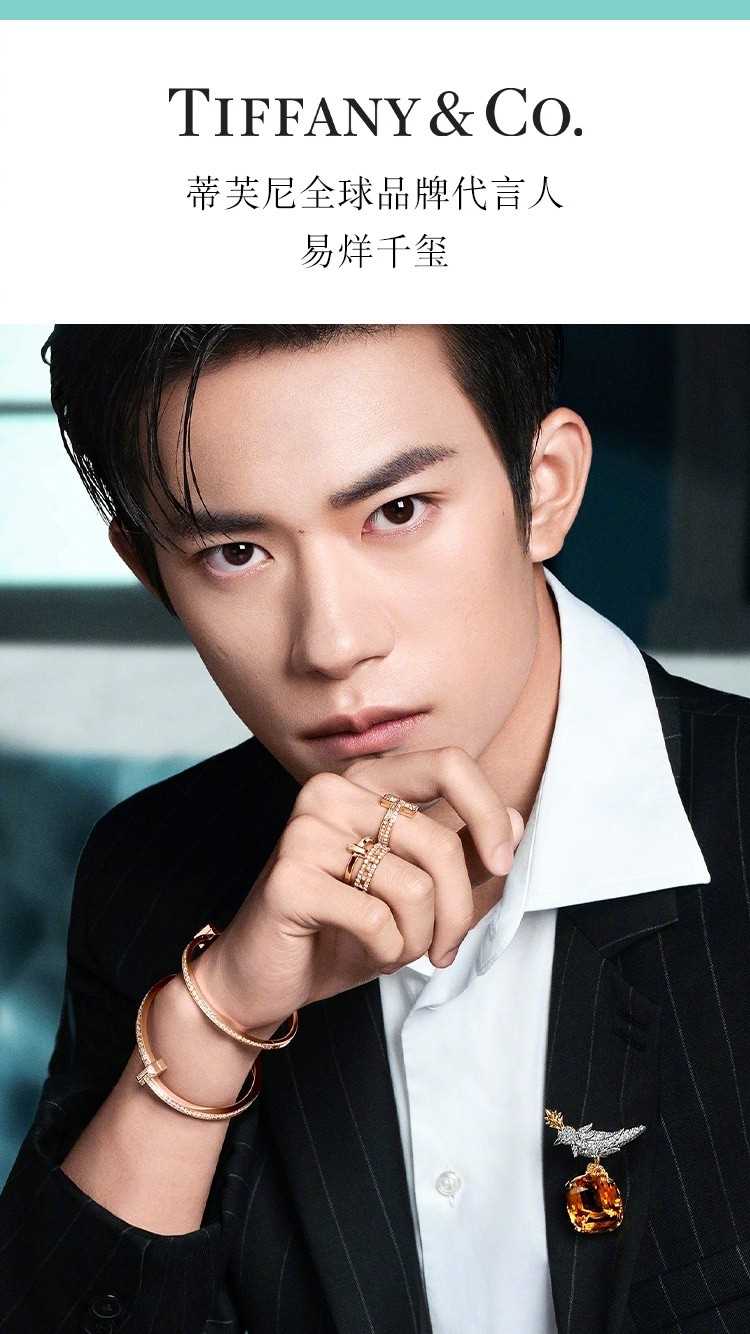 精选易烊千玺霸道背头时尚品牌Tiffany代言大片图册