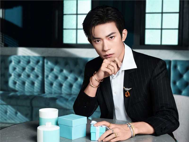 精选易烊千玺霸道背头时尚品牌Tiffany代言大片图册