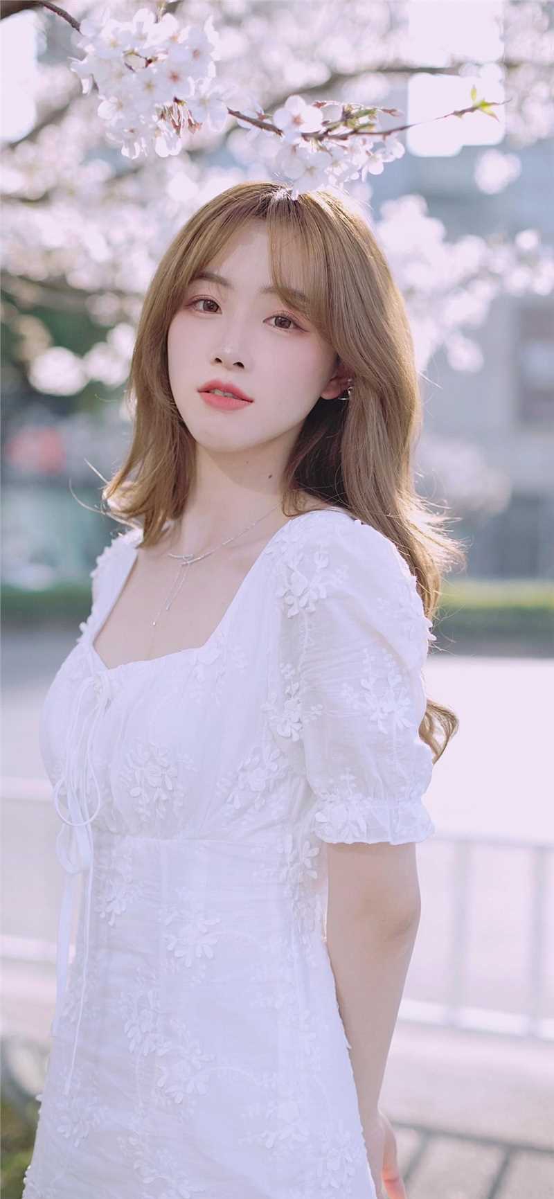 高清韩系风格美女樱花树下白裙清纯甜美风合集图集