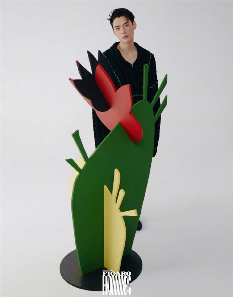 高清龚俊费加罗男士杂志封面俊朗童趣时尚图片图集