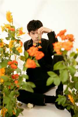 精选易烊千玺黑色西装花海反差感时尚图册