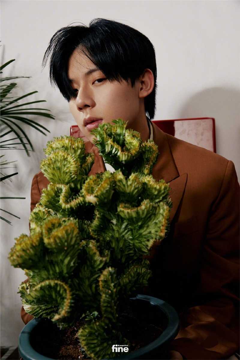 高清《小欢喜》周奇黑色墨镜复古时尚大片图集