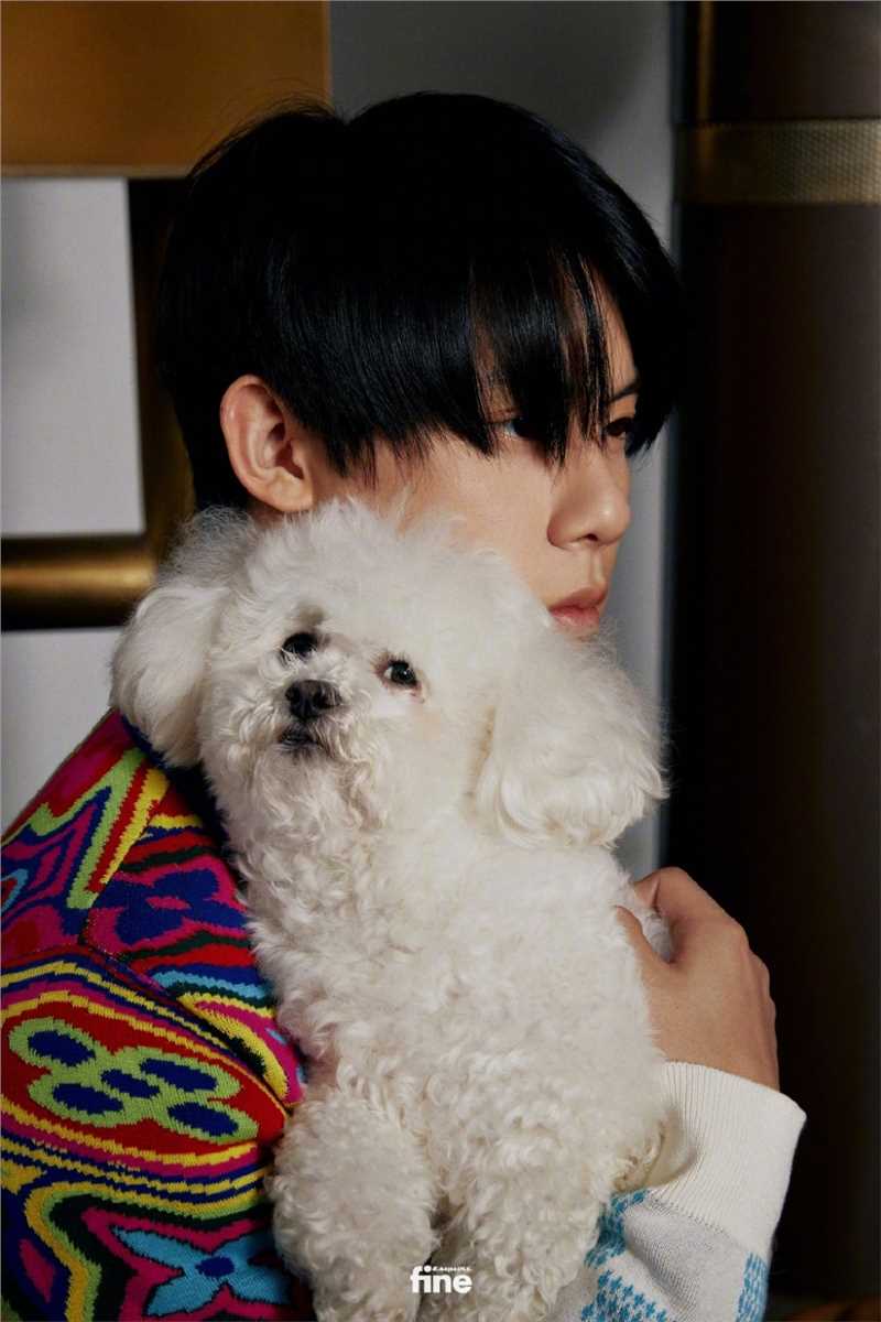 高清《小欢喜》周奇黑色墨镜复古时尚大片图集