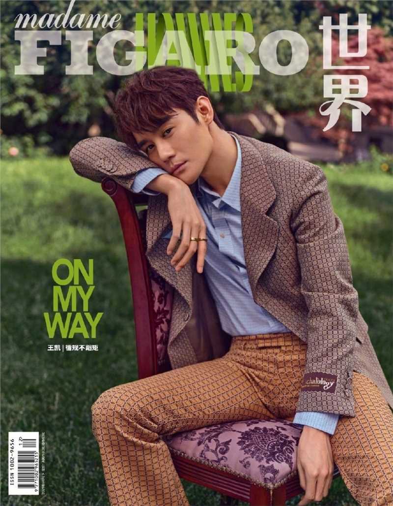 特别专辑王凯绅士男棕色系西装森林庄园时尚杂志封面图片