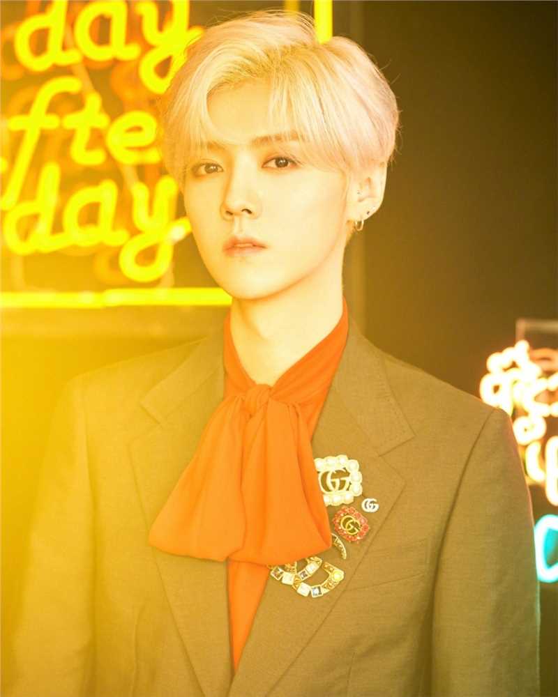 精选鹿晗红绿经典搭配贵族范复古时尚大片图册