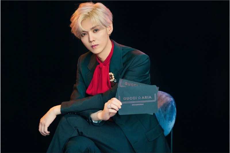 精选鹿晗红绿经典搭配贵族范复古时尚大片图册