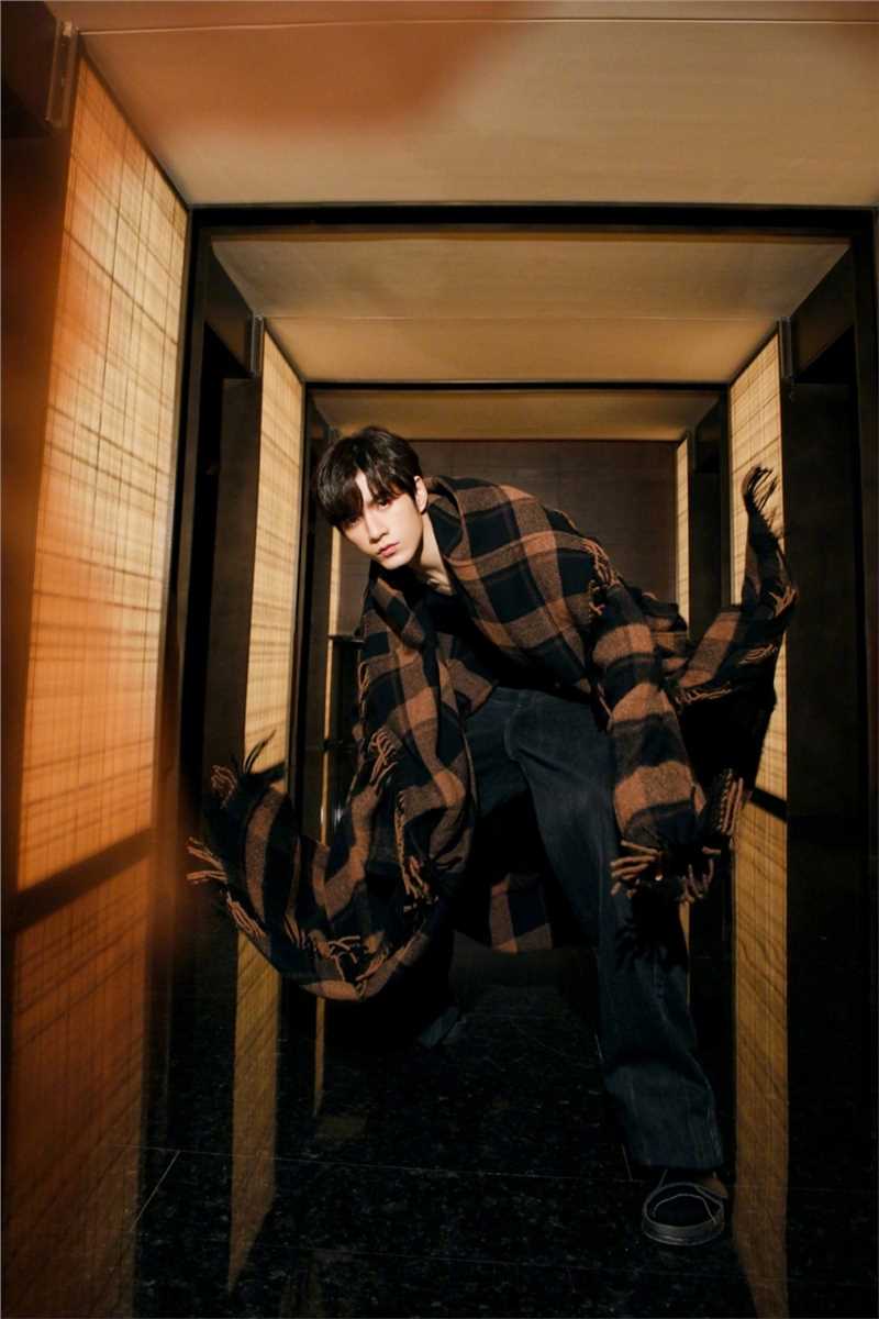 最全RISE张颜齐方格披肩衣潇洒风格时尚相册